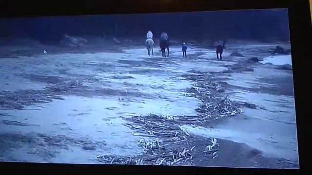 Внучкам на конях разгуляться не дают смотреть онлайн