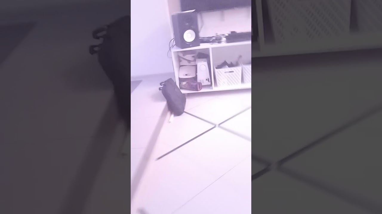 22 октября 2023 г. смотреть онлайн