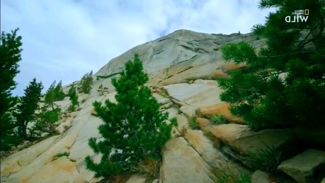 Nat Geo Wild_ Дикие охотники _ 2 серия - Змеи snake video vetallyo