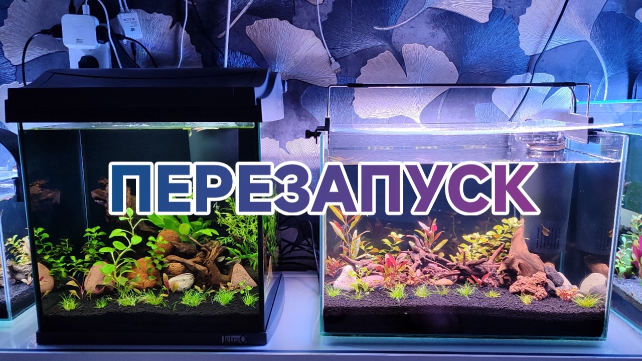 Перезапустил два аквариума на питательном грунте Soil смотреть онлайн