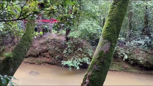 МАДАГАСКАР, 2024. Прогулки по ночным и дневным джунглям. 9 СЕРИЯ смотреть онлайн