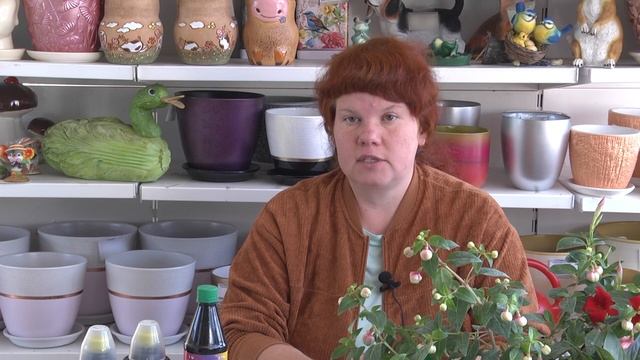 2023 06 15 ВО САДУ И В ОГОРОДЕ смотреть онлайн