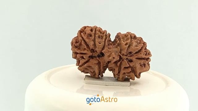 Gauri Shankar Rudraksha смотреть онлайн