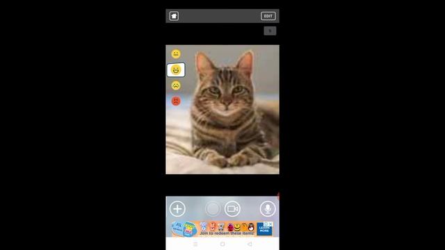 Motion portrait app tutorial смотреть онлайн