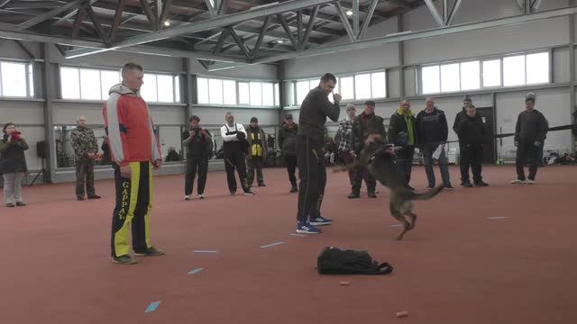 Охрана Соболев/Елизаров. Конкурс фигурантов 2025. Раздел НацВиды.