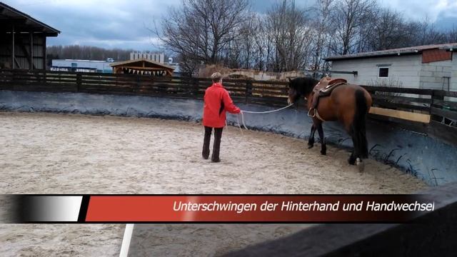 Horsemanshiptraining mit Zira смотреть онлайн