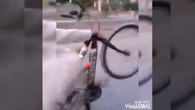 Malik King cycle Willing смотреть онлайн