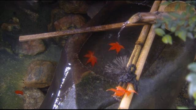 Ксения Лапицкая - Зачем мне унывать смотреть онлайн