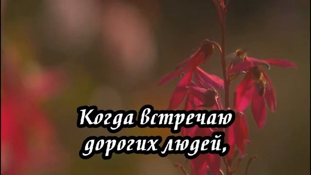 Ксения Лапицкая - Господень дом смотреть онлайн