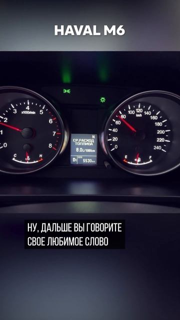 Приборы Haval M6