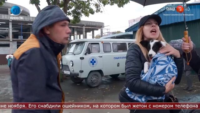 02.03.2021 Потерявшуюся собаку волонтёры искали несколько недель смотреть онлайн