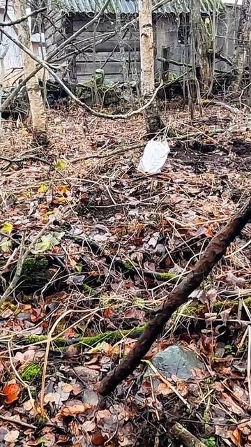 Приятная находка! смотреть онлайн