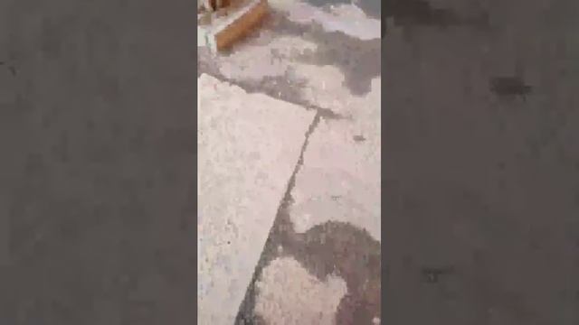 Поход в школу смотреть онлайн