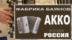 Баян АККО. Воронеж.
