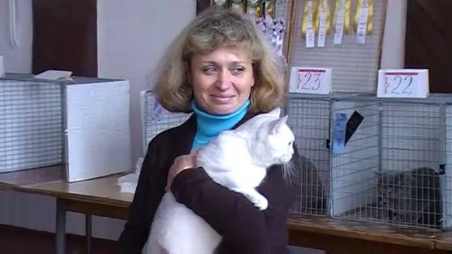 Выставки кошек на Http://british-chinchilla.dp.ua