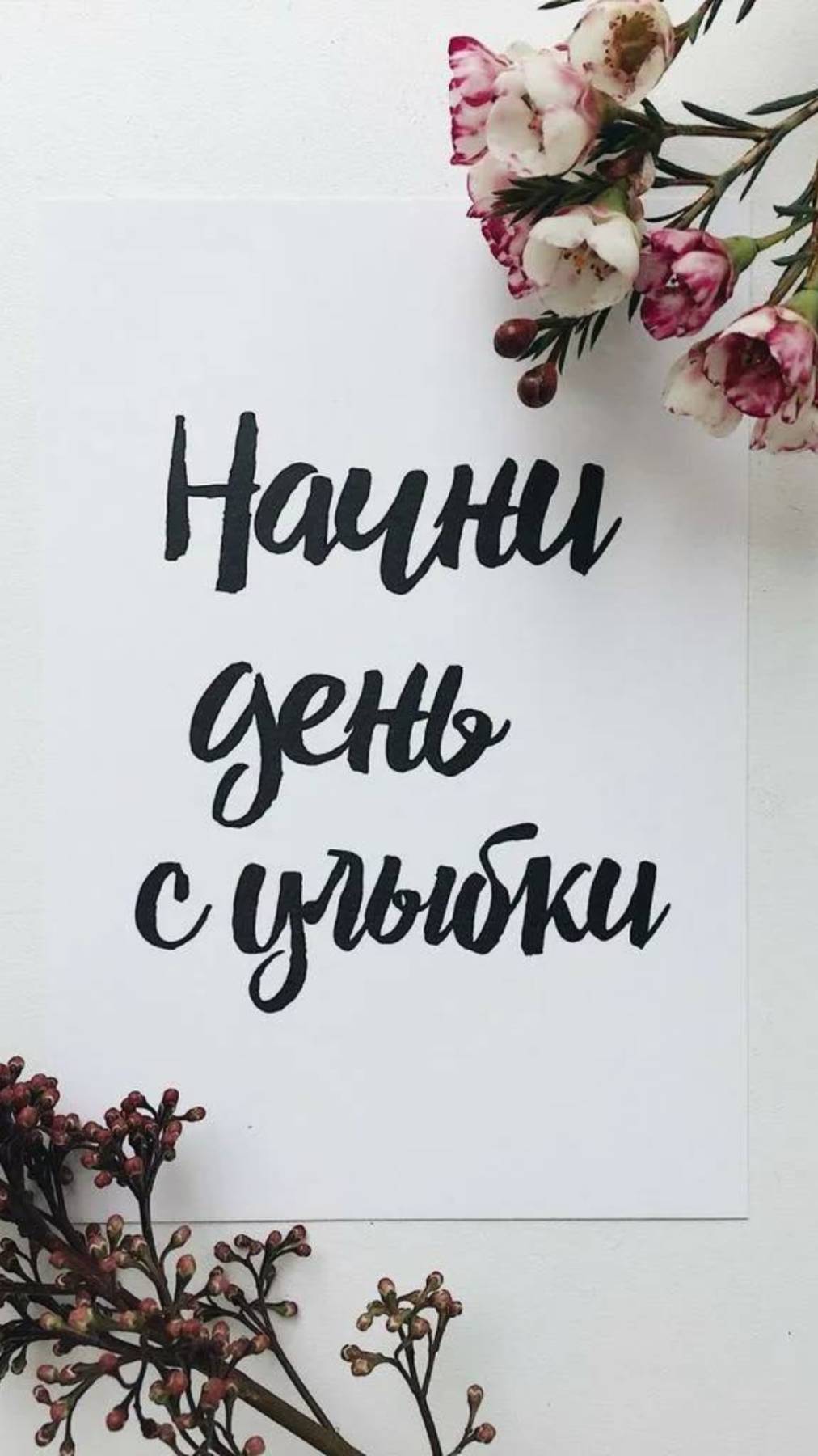 Хватит присылать унылые открытки!⛔️ смотреть онлайн