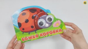 Книжка с глазками. Божья коровка