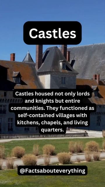 Castle Chronicles: 5 Fascinating Facts #shorts смотреть онлайн