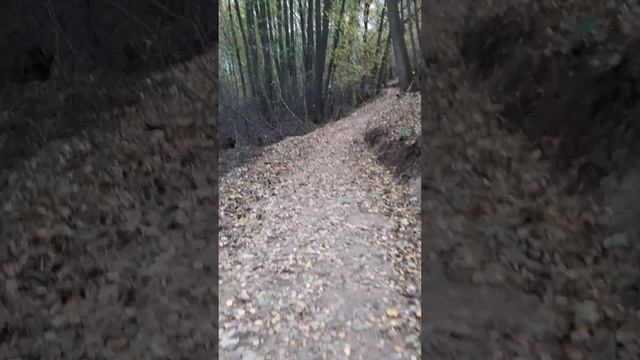 осень😍(видео от канала Lera_cat123) смотреть онлайн