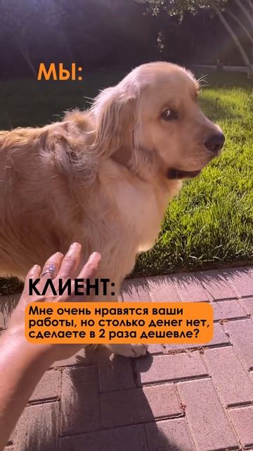 Адекватные смотреть онлайн