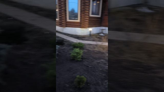 фонари дача смотреть онлайн