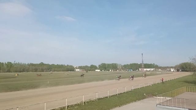 Horse races Hippodrome Novosibirsk 2022 - Летний Беговой Сезон Лошади Ипподром Новосибирск Отрывок смотреть онлайн