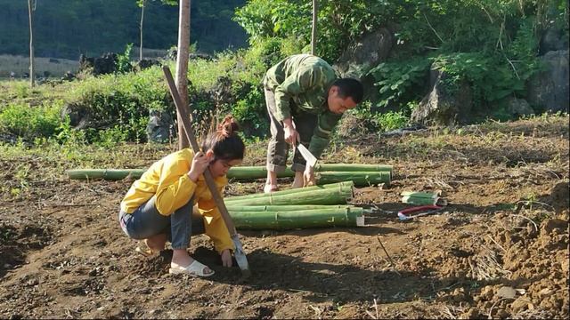Full Video: Flower Gardening, Cassava Harvesting, Tomato Trellis, Construction