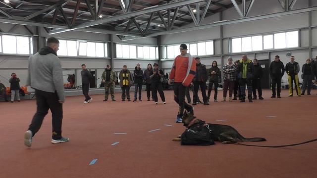 Охрана Зевин/Кононов. Конкурс фигурантов 2025. Раздел НацВиды.