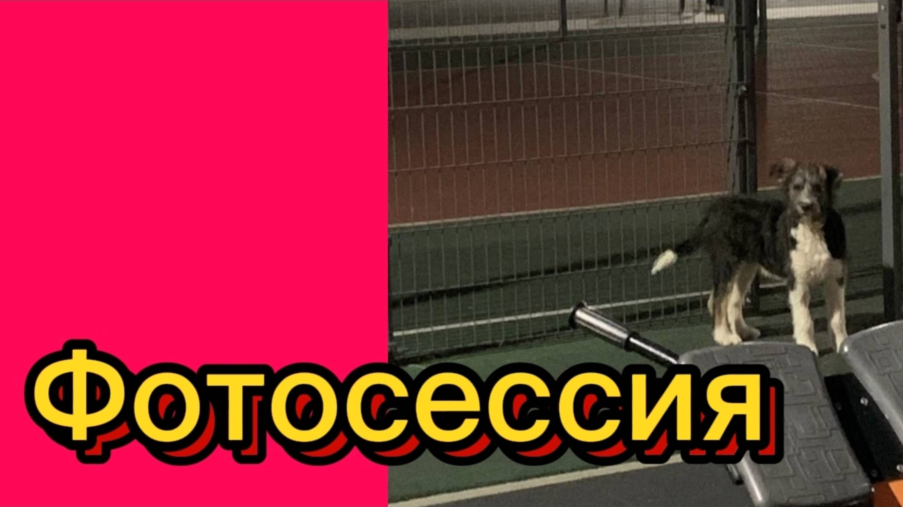 ДЕРЕВЕНСКИЙ ДНЕВНИК. "ФОТОСЕССИЯ" смотреть онлайн