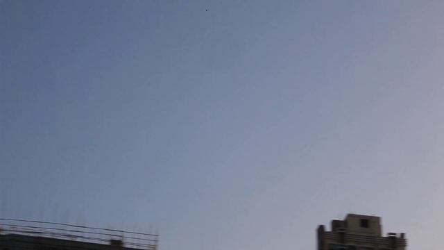 NgSiu Demo mikado logo 600 12s смотреть онлайн