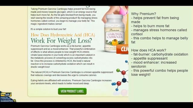 Weight Loss Plateau & Garcinia Cambogia Extract: FREE Bottle Garcinia Cambogia смотреть онлайн