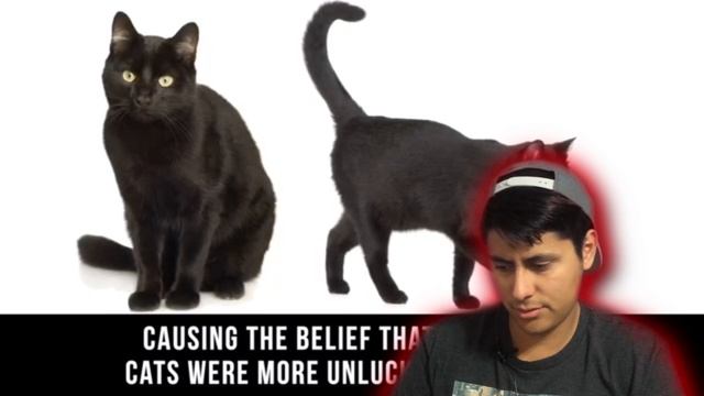 The REAL Story Behind Myths You Believed As A Kid Reaction смотреть онлайн