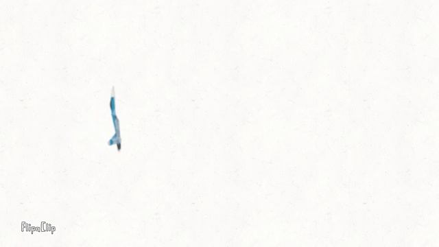 Pugachev's Cobra (Flipaclip) смотреть онлайн