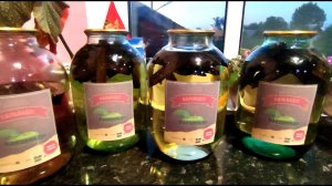 Перегоняем яблочную брагу на кальвадос