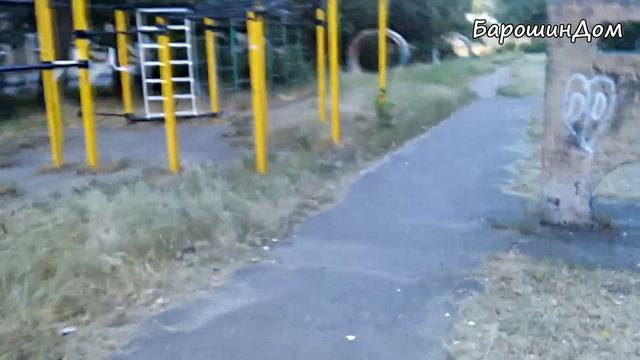 После процедуры Симба убежал в соседний двор. А что если заблудится и не вернется к прежнему месту? смотреть онлайн