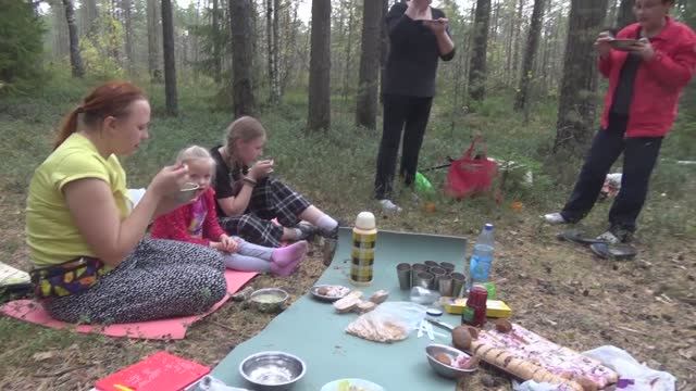 "Листопад...". Киноклуб .Вологда, осень, лес...2023.