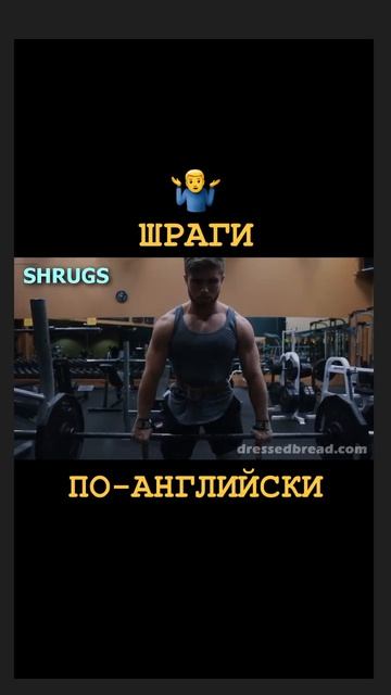 ШРАГИ. Перевод на английский