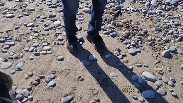 Моя прогулка с собакой 020