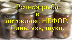 Консервы из речной рыбы. Линь, язь, щука и автоклав НЕФОР.