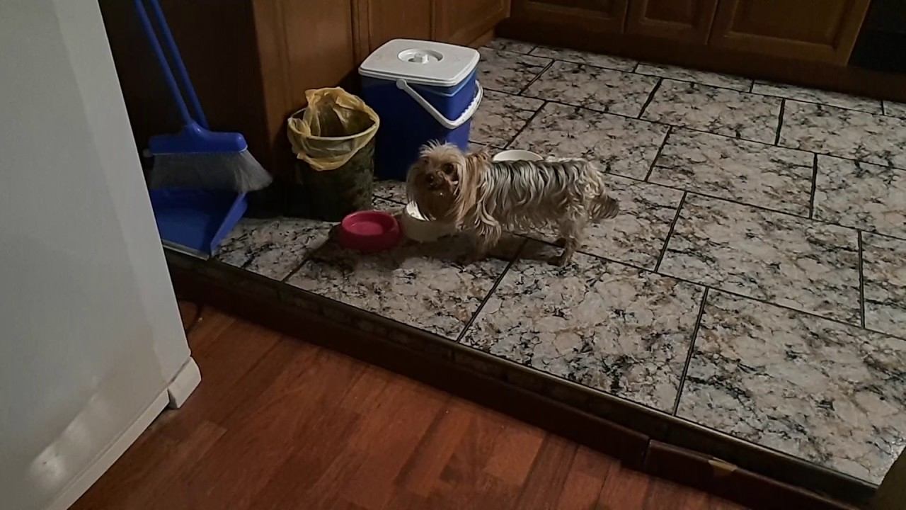 31 мая 2017 г. смотреть онлайн