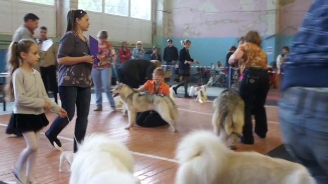 Регионалка БИС Ю смотреть онлайн