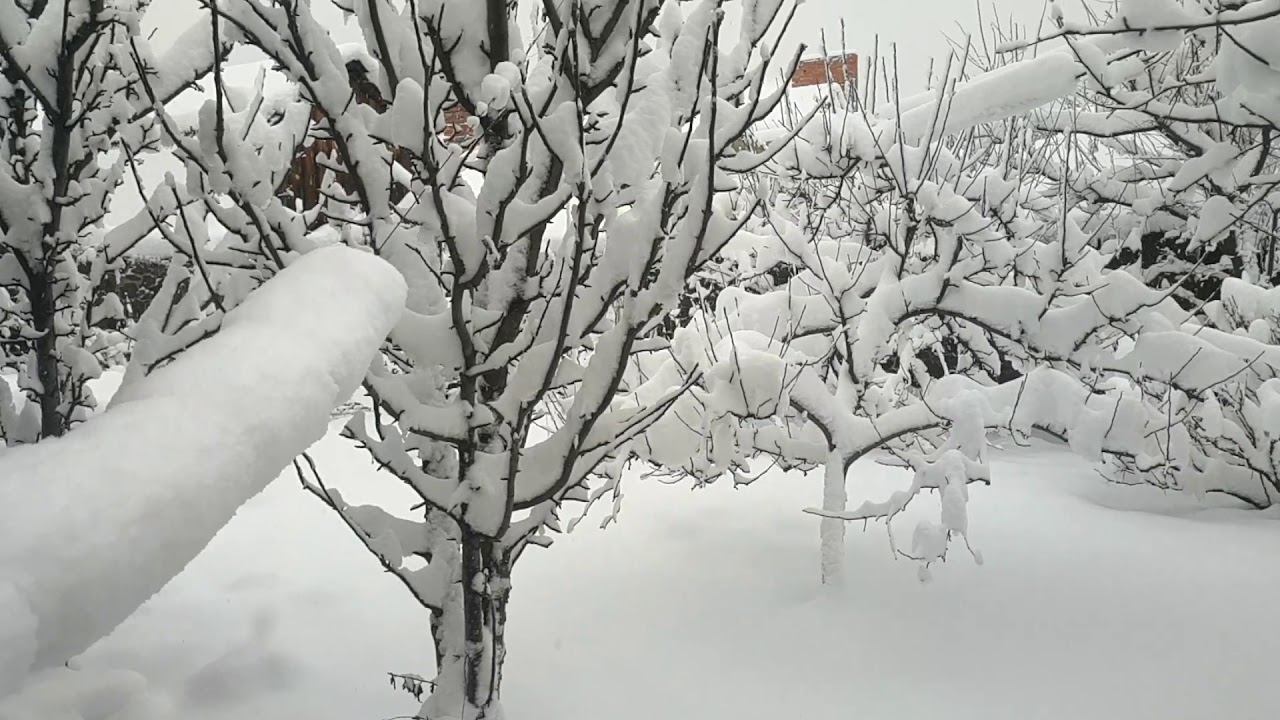 7 февраля 2020 г. смотреть онлайн