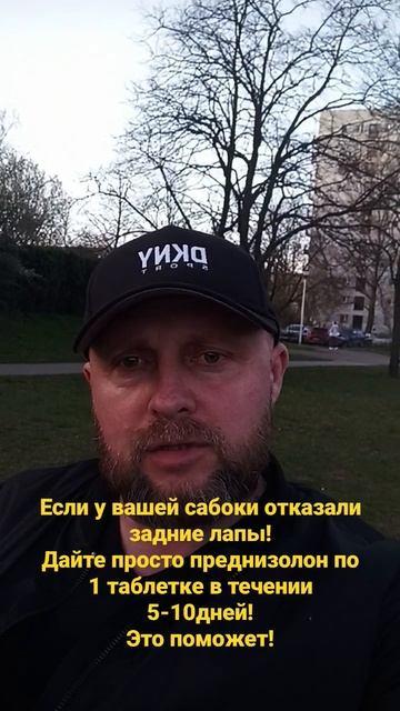 Если отказали задние лапы у вашей собаки! Как поднять ее за несколько дней на ноги? смотреть онлайн