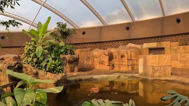 Берлинский зоопарк обзор прогулка носорог путешествия туризм отдых