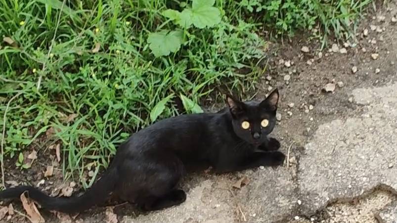 Прогулка в г. Шимановске