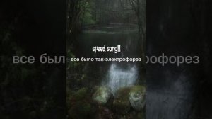 все было так-электрофорез(speed song)