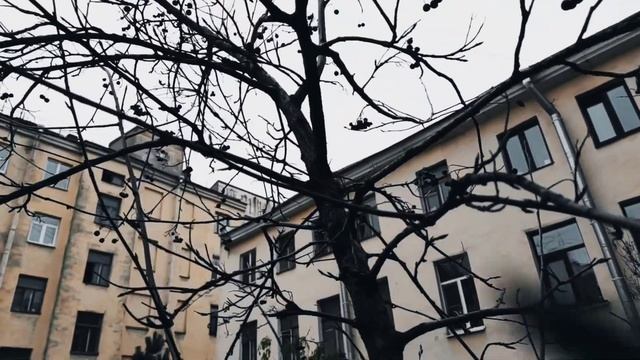 VID 20221105 202354 Сретенье 1972 (И. Бродский)...Павел Васильев Лахтинский смотреть онлайн