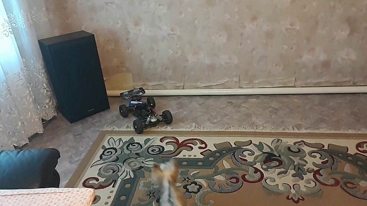 3 февраля 2018 г. смотреть онлайн