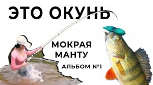 Хитрый наглый окунь! Песня Мокрая Манту о рыбалке на окуня