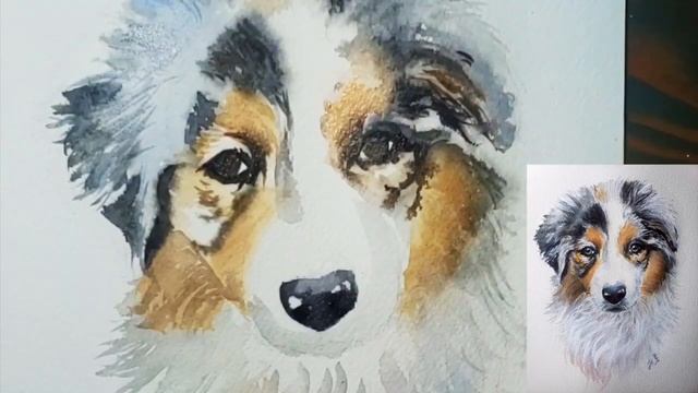 Watercolor Pet Portrait Speed Painting - Blue Merle Aussie Puppy | Jess Kristen смотреть онлайн